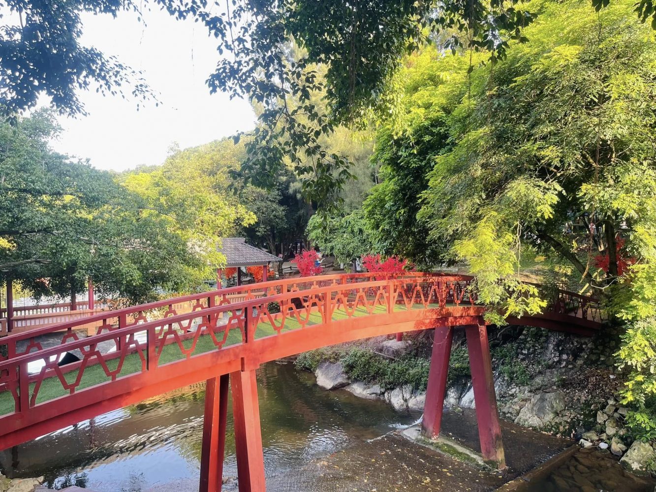 Tham quan cảnh đẹp thiên nhiên ở khu du lịch Ao Vua