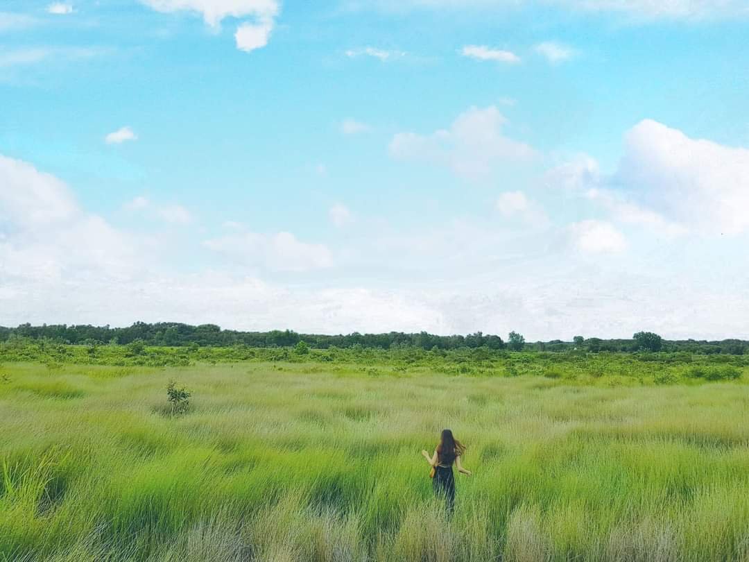 Đi chân trần trên cánh đồng cỏ bàng