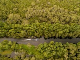 Ngồi xuồng rẽ sóng giữa rừng tràm