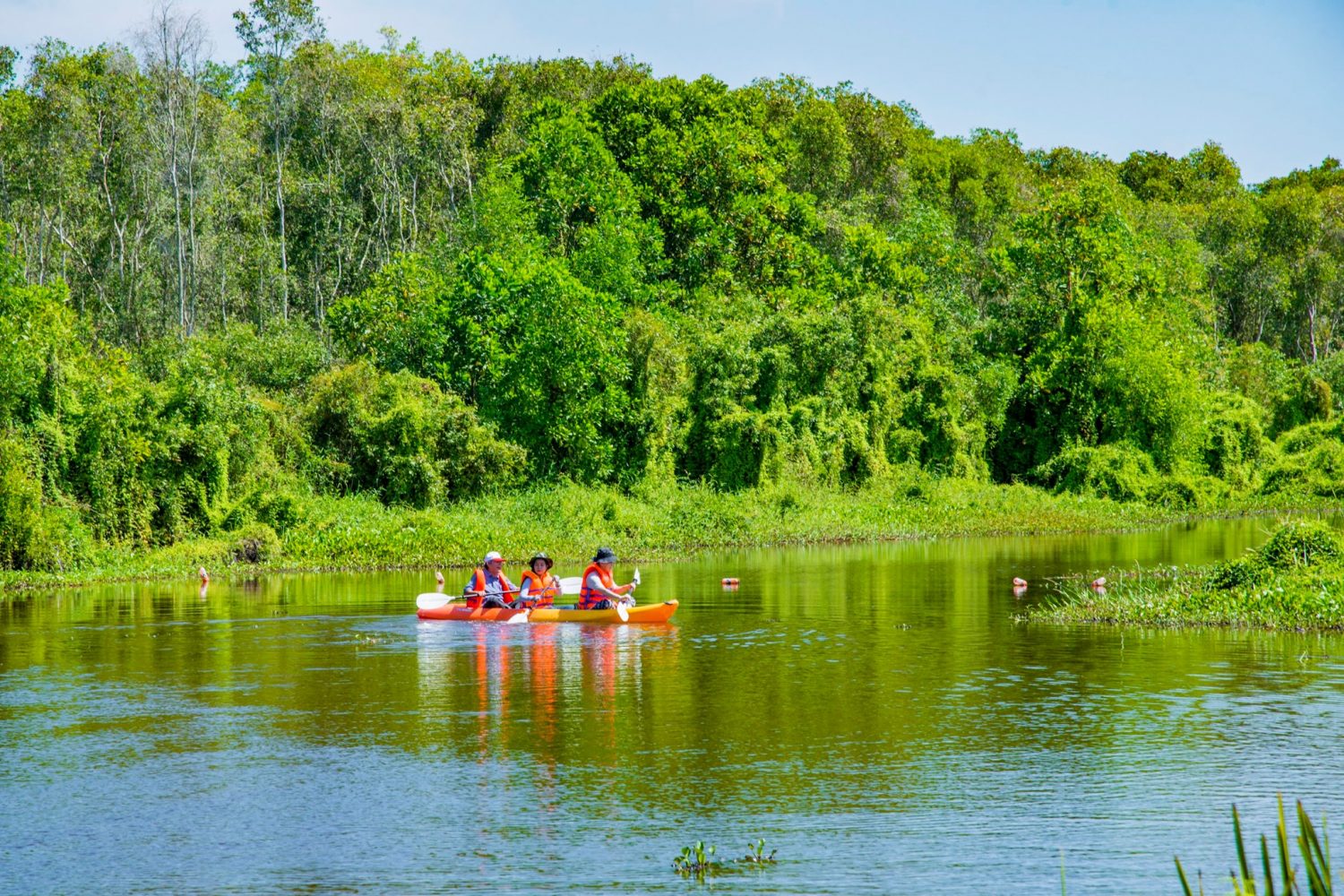 Chèo kayak khám phá kênh rạch