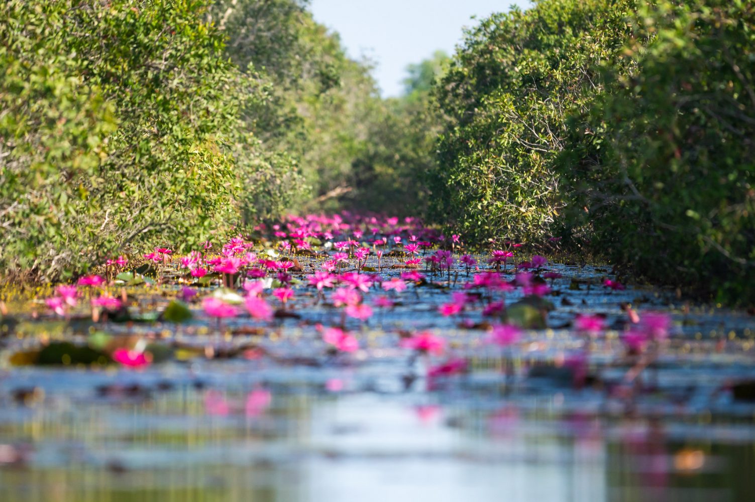 Lịch trình tham quan gợi ý trong ngày