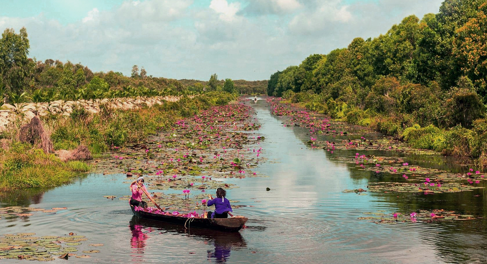 chèo thuyền hái hoa súng