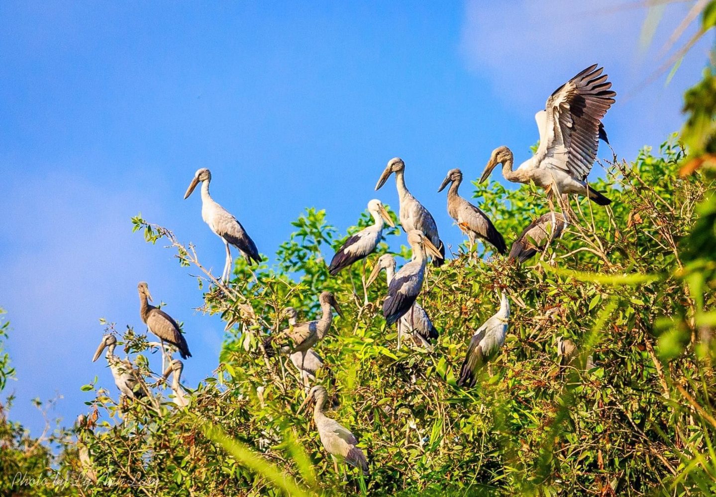 Gợi ý lịch trình một ngày tại khu du lịch Mùa Xuân