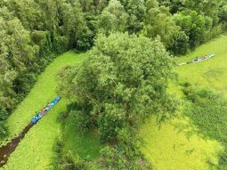 Khu du lịch Mùa Xuân: khám phá rừng tràm, vườn chim