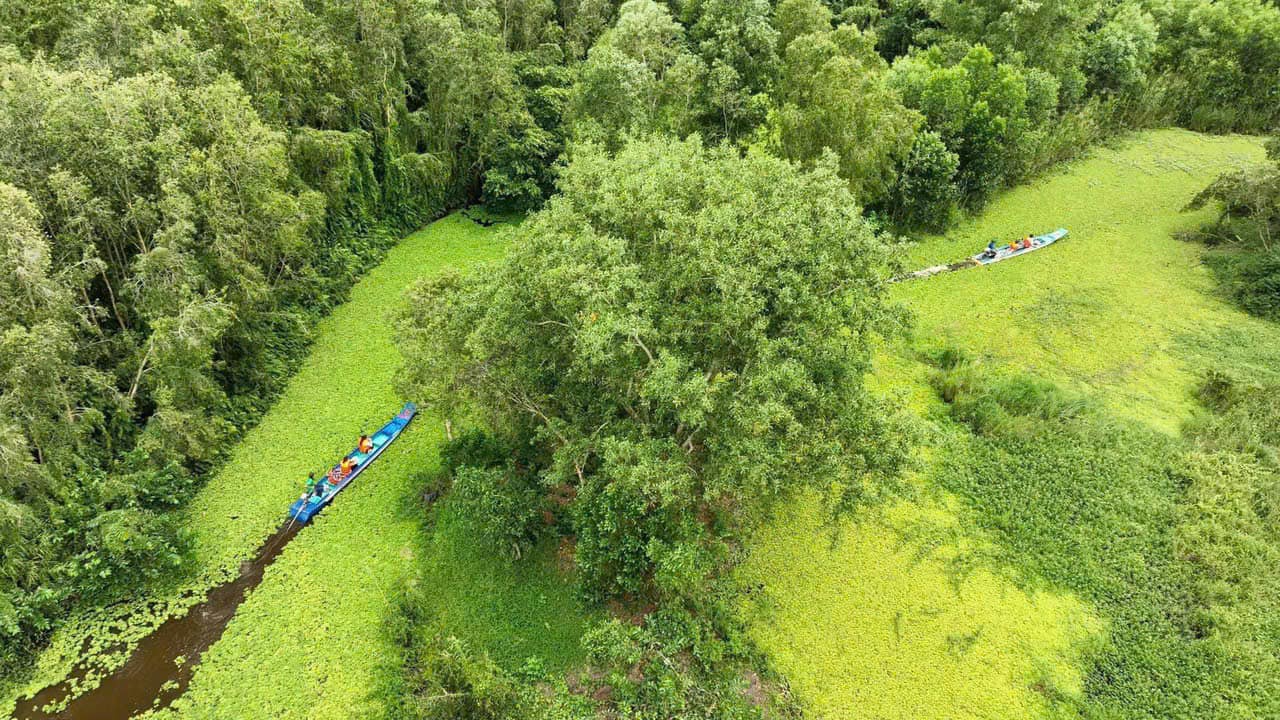 Khu du lịch Mùa Xuân: khám phá rừng tràm, vườn chim