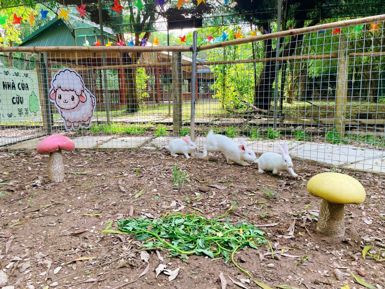 Gợi ý lịch trình tham quan trong ngày