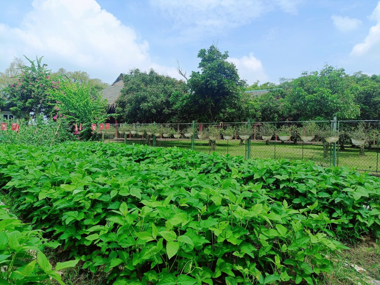 Khu du lịch sinh thái Núi Ngăm