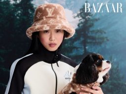 Bộ sưu tập LV Ski, ava