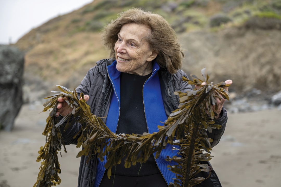 Sylvia Earle cầm dải rong biển trên bãi biển Muir, California