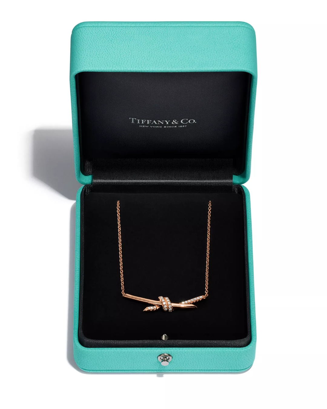 BZCN_HOA-HAU-KY-DUYEN-SINH-NHAT (3)