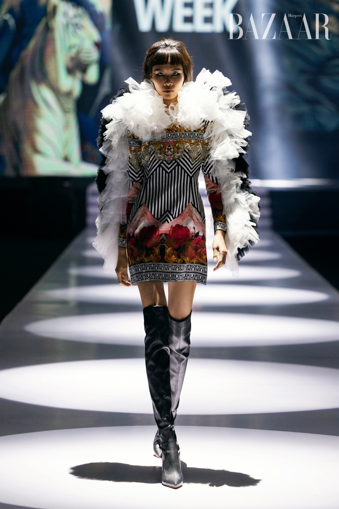 bzvn-ajay-kumar-ntk-an-do-avifw-thuu-dong-2025 (6)