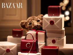 bzvn-cartier-baby-panther-festival-2025-thumbnail