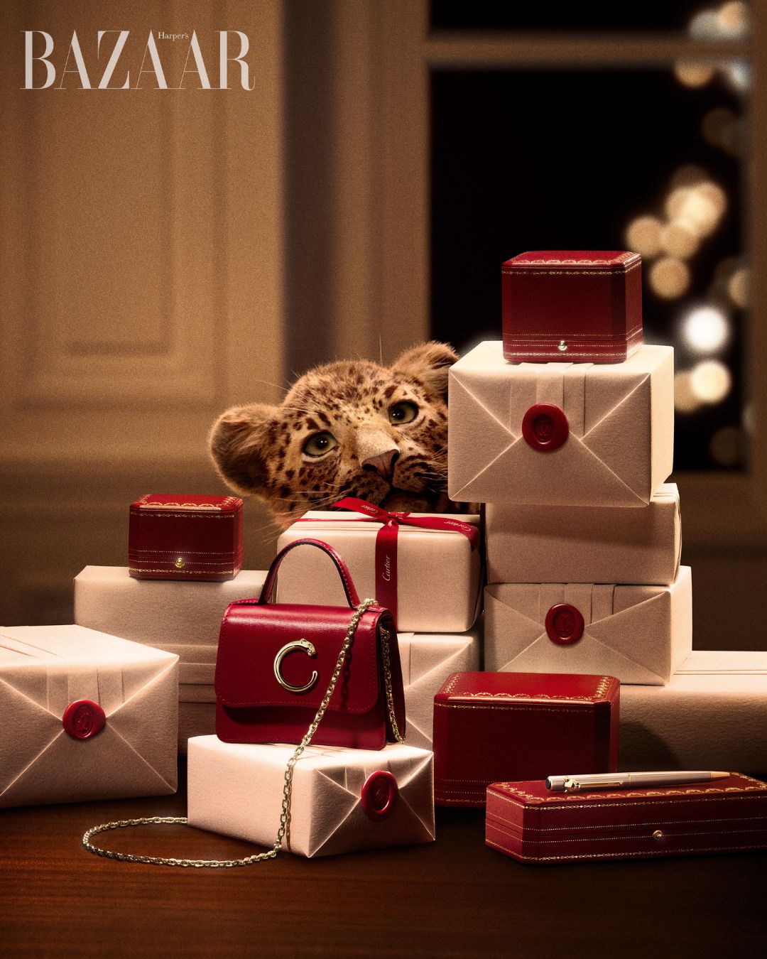 bzvn-cartier-festival-2025-7