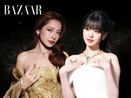 bzvn-chipu-tone-sur-tone-mau-len