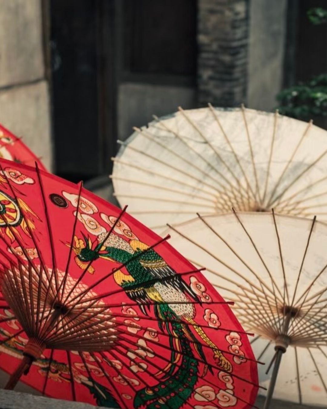 bzvn-cung-tuan-o-giay-dau-7