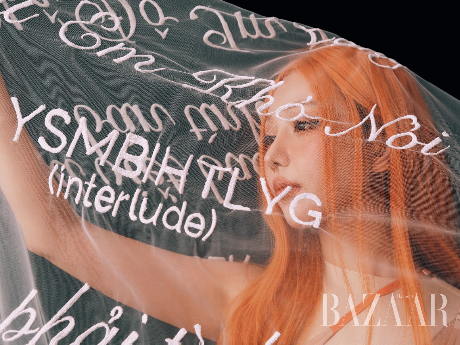 bzvn-dear-min-web-article-8