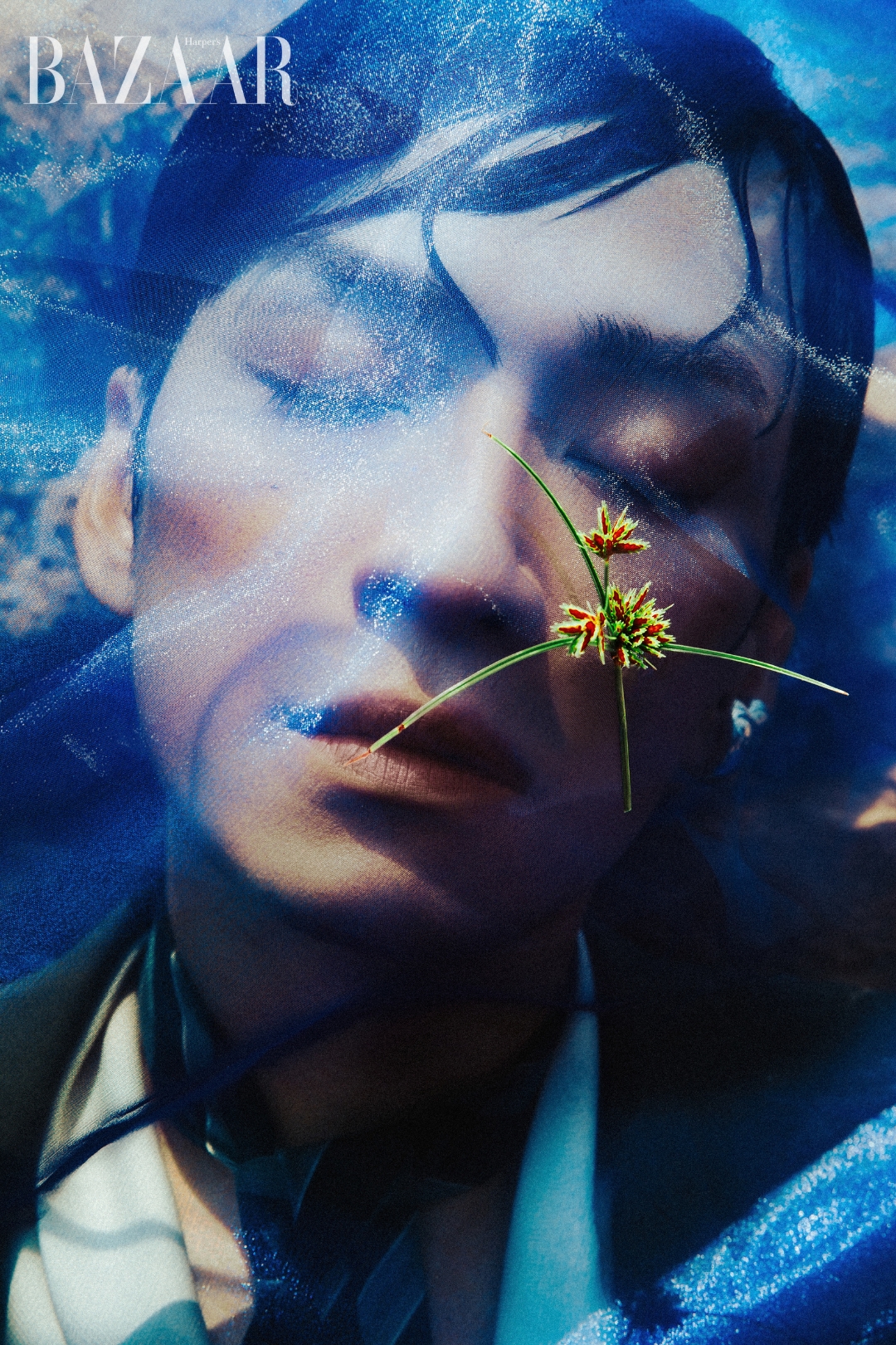 bzvn-dien-vien-tran-nghia-seesea00010