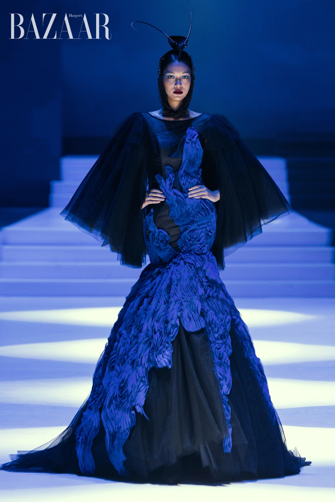 bzvn-lai-mai-hoa-trinh-dien-tai-avifw-thu-dong-202500002