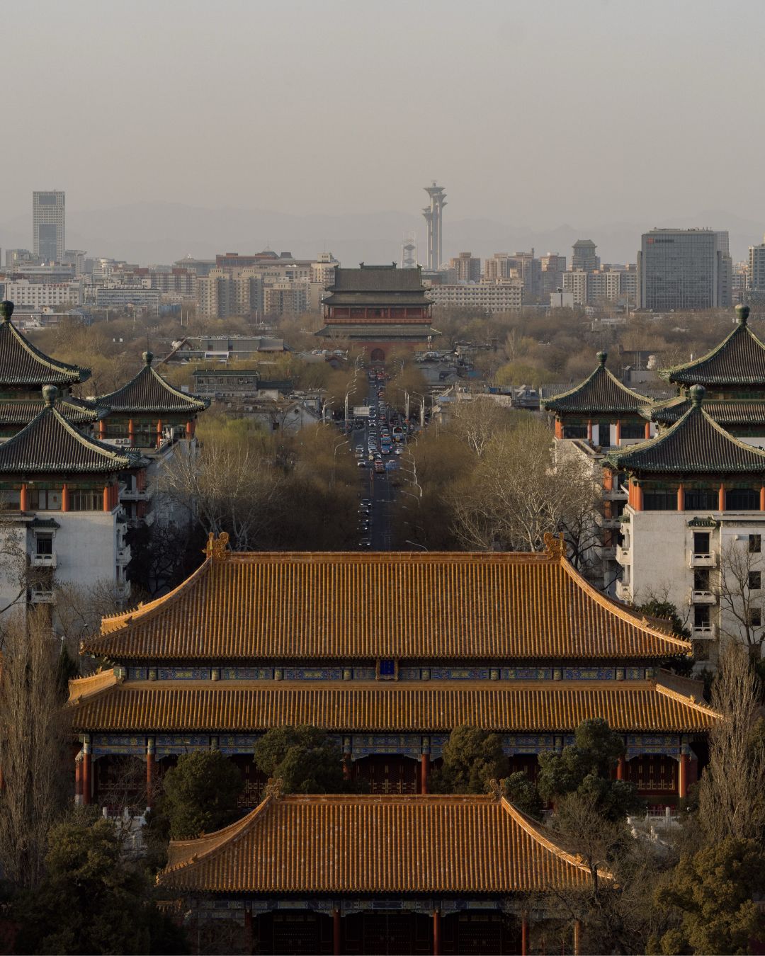 bzvn-ly-hien-dien-vien-nhiep-anh-gia-9