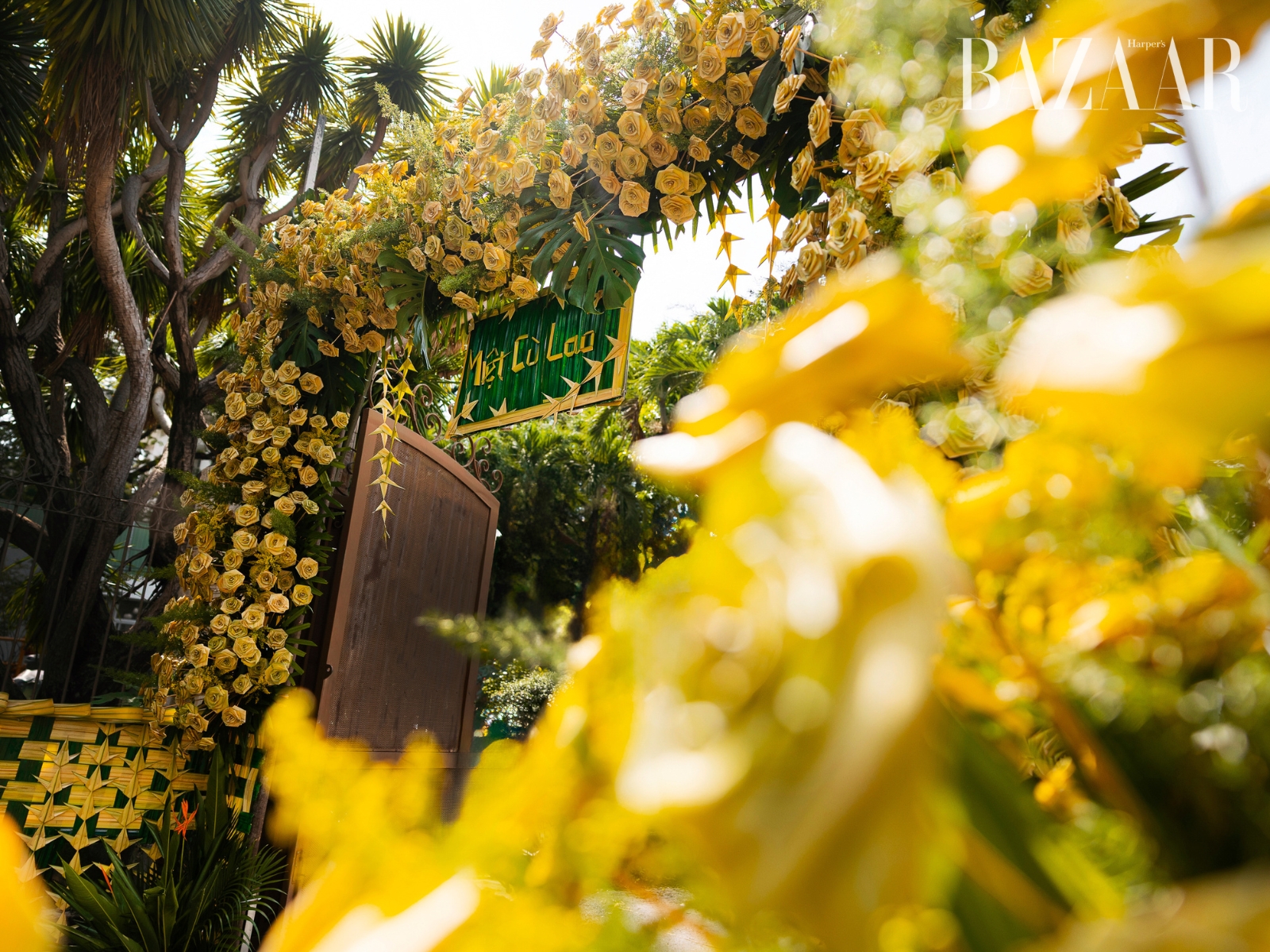 bzvn-miet-cu-lao-trien-lam-ntk-nguyen-minh-cong-thanh-tich00003