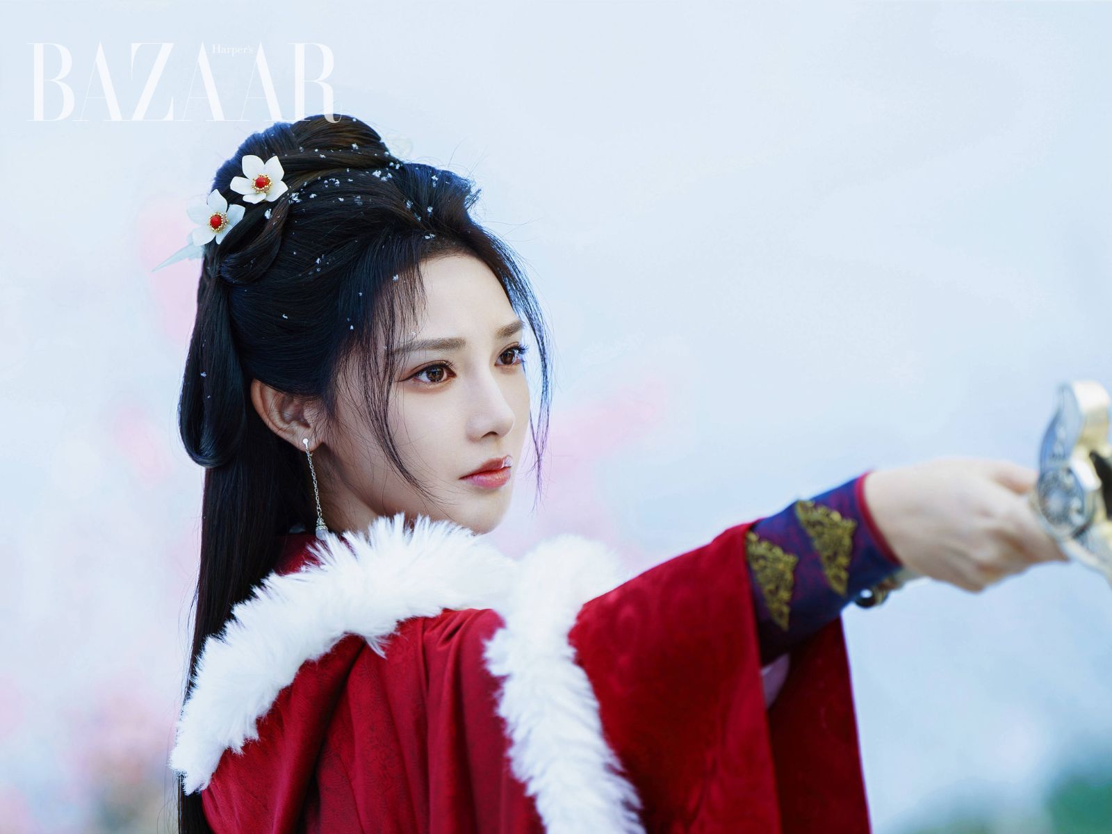 bzvn-phuong-hoang-dai-thuong-nham-gia-luan-banh-tieu-nhiem-4