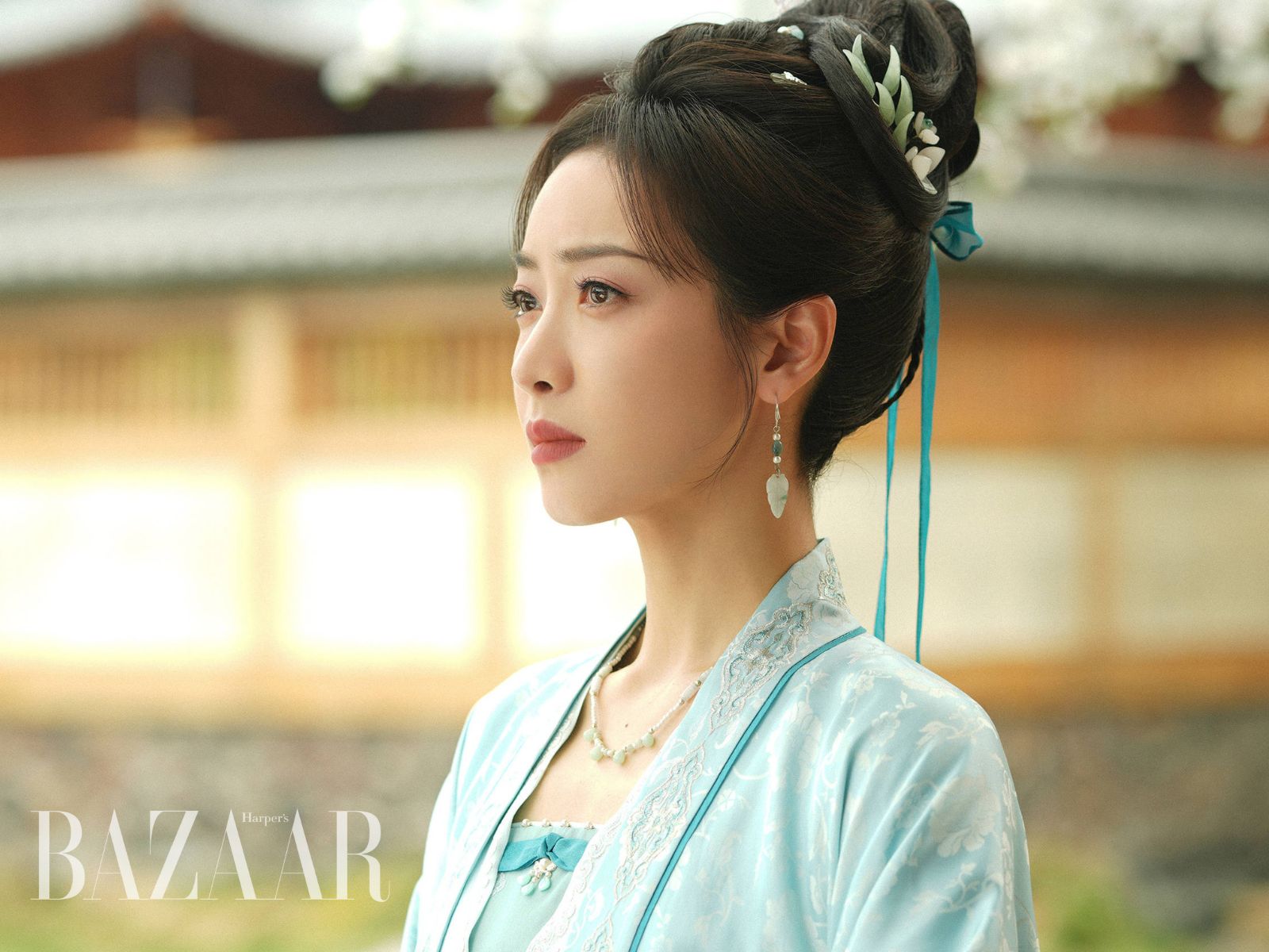 bzvn-son-ha-cham-dinh-vu-he-tong-thien-2