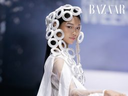 bzvn-thumb-lai-mai-hoa-avifw-thu-dong-2025