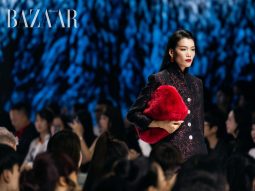 bzvn-thumb-valenciani-by-adrian-anh-tuan