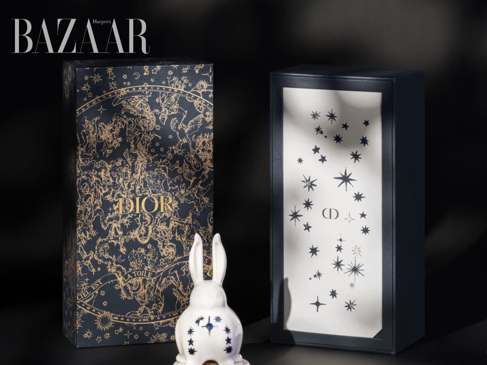 bzvn-dior-van-hoa-trung-hoa-13