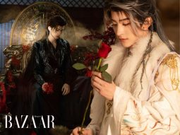 bzvn-thuong-hoa-sam-to-xuong-ha-pham-van-phi-thumbnail