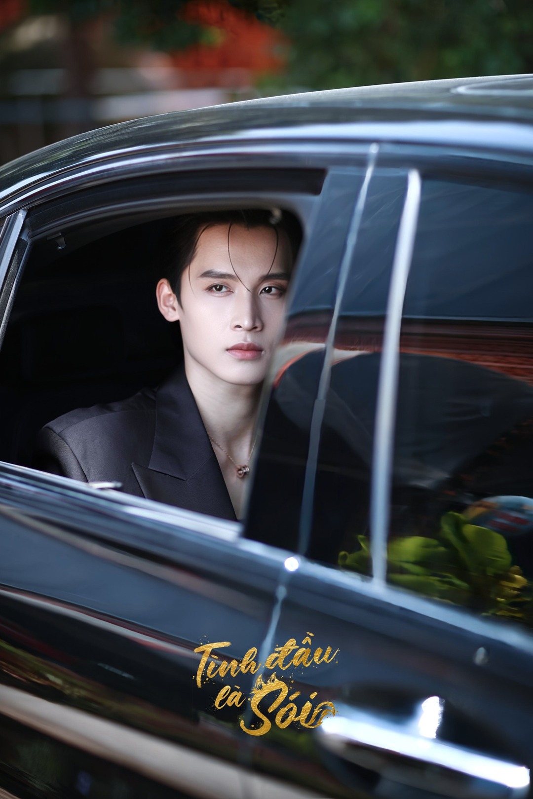 bzvn-tinh-dau-la-soi00005