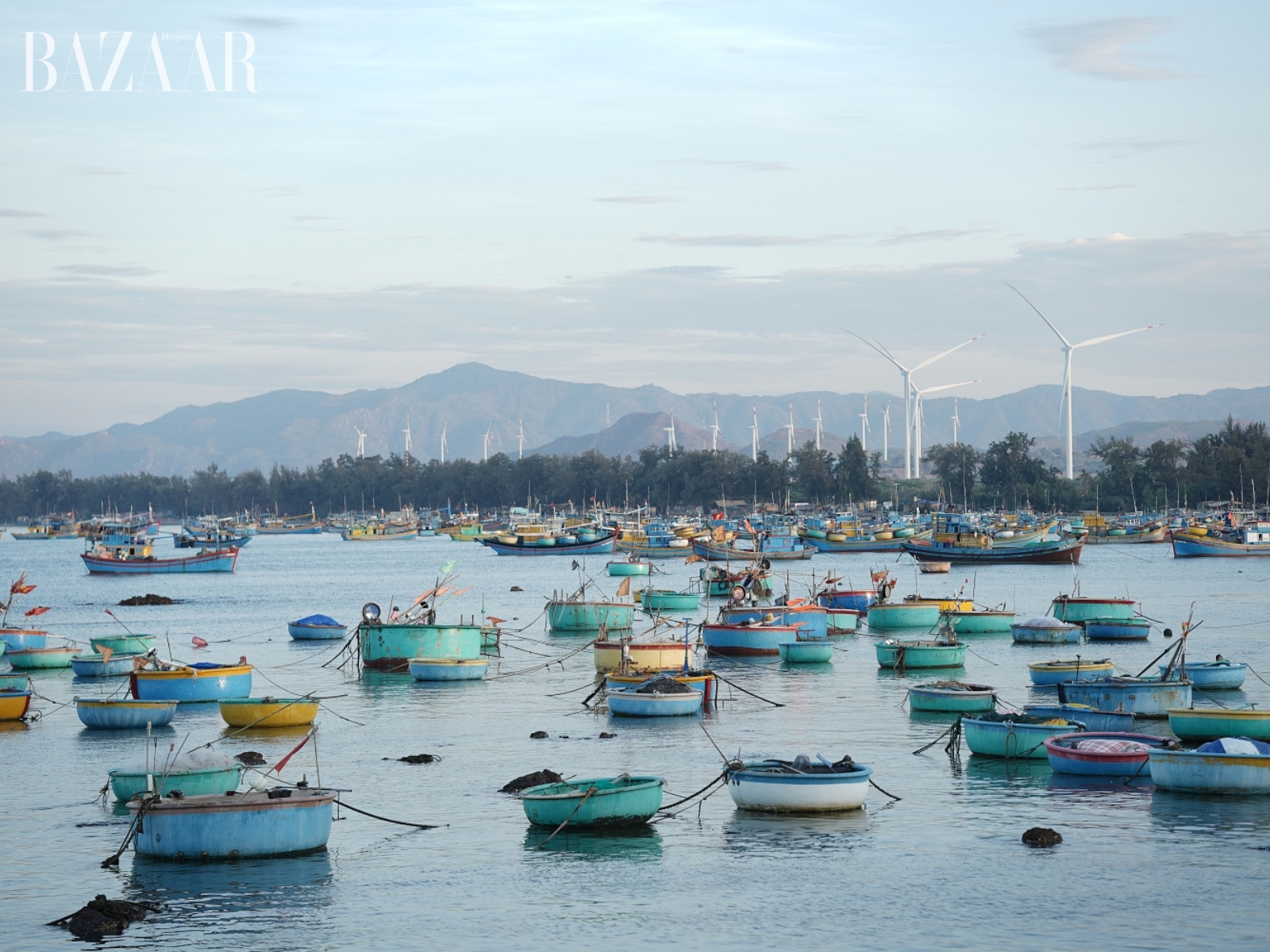 bzvn-truy-tim-long-dien-huong-phim-dien-anh-viet-2025 (8)