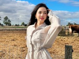 Danh sách các tập phim có sự tham gia của Đinh Ngọc Diệp