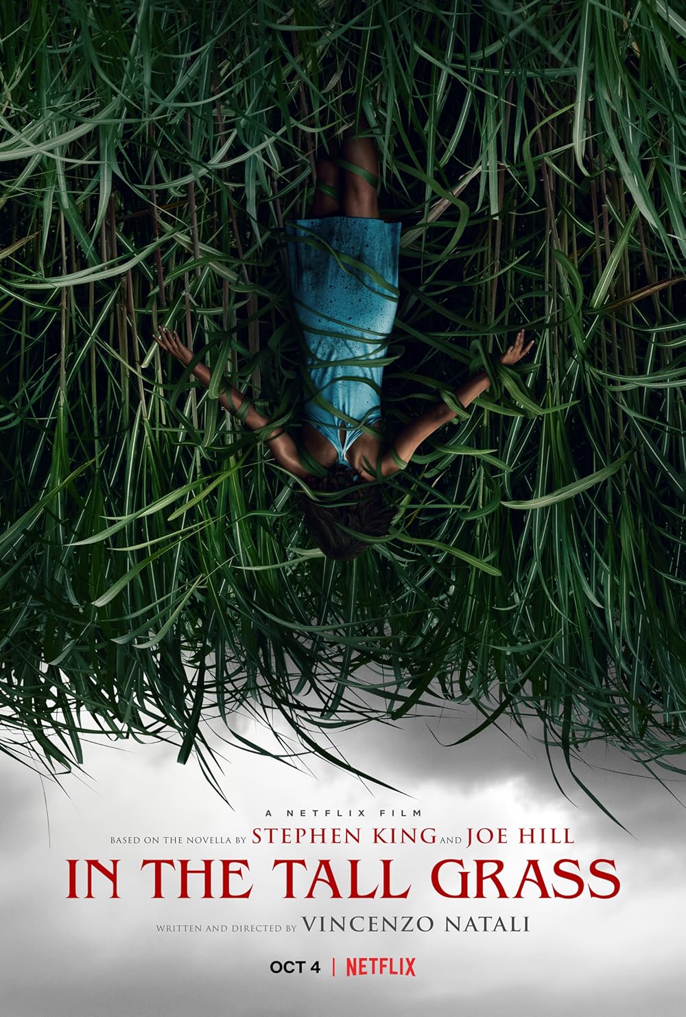 Bụi cỏ ven đường – In the tall grass (2019)