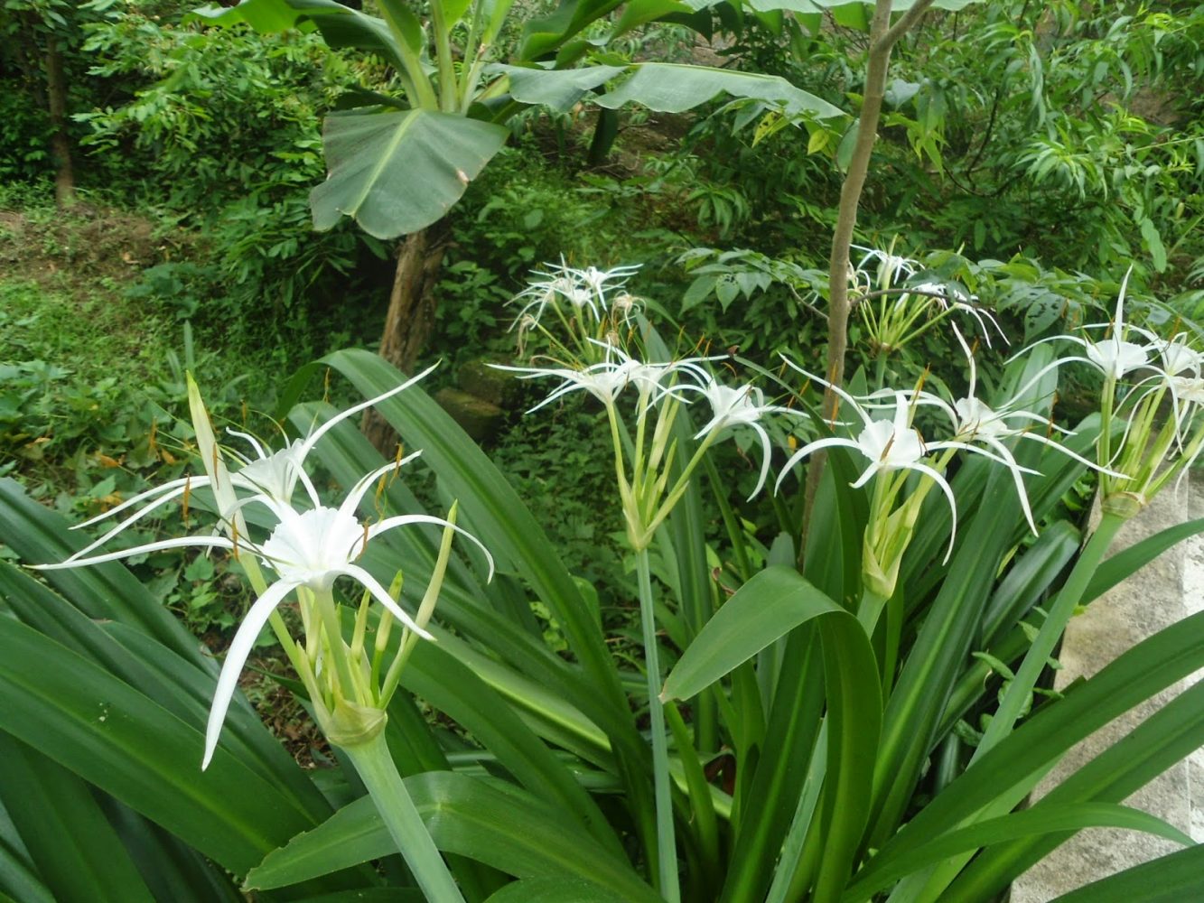 Ý nghĩa trong tình cảm và gia đạo