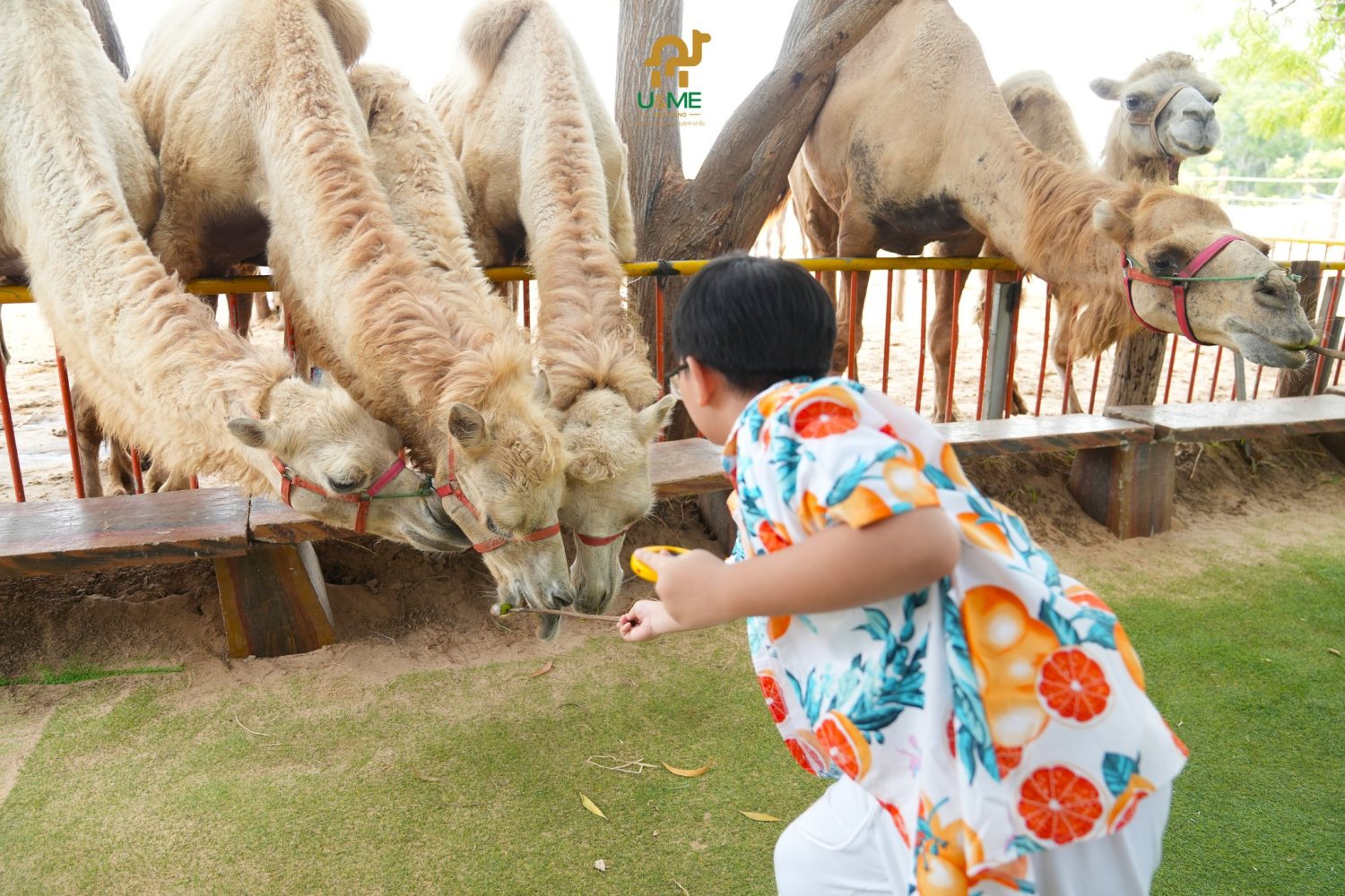 Gợi ý lịch trình tham quan khu du lịch Bàu Trắng