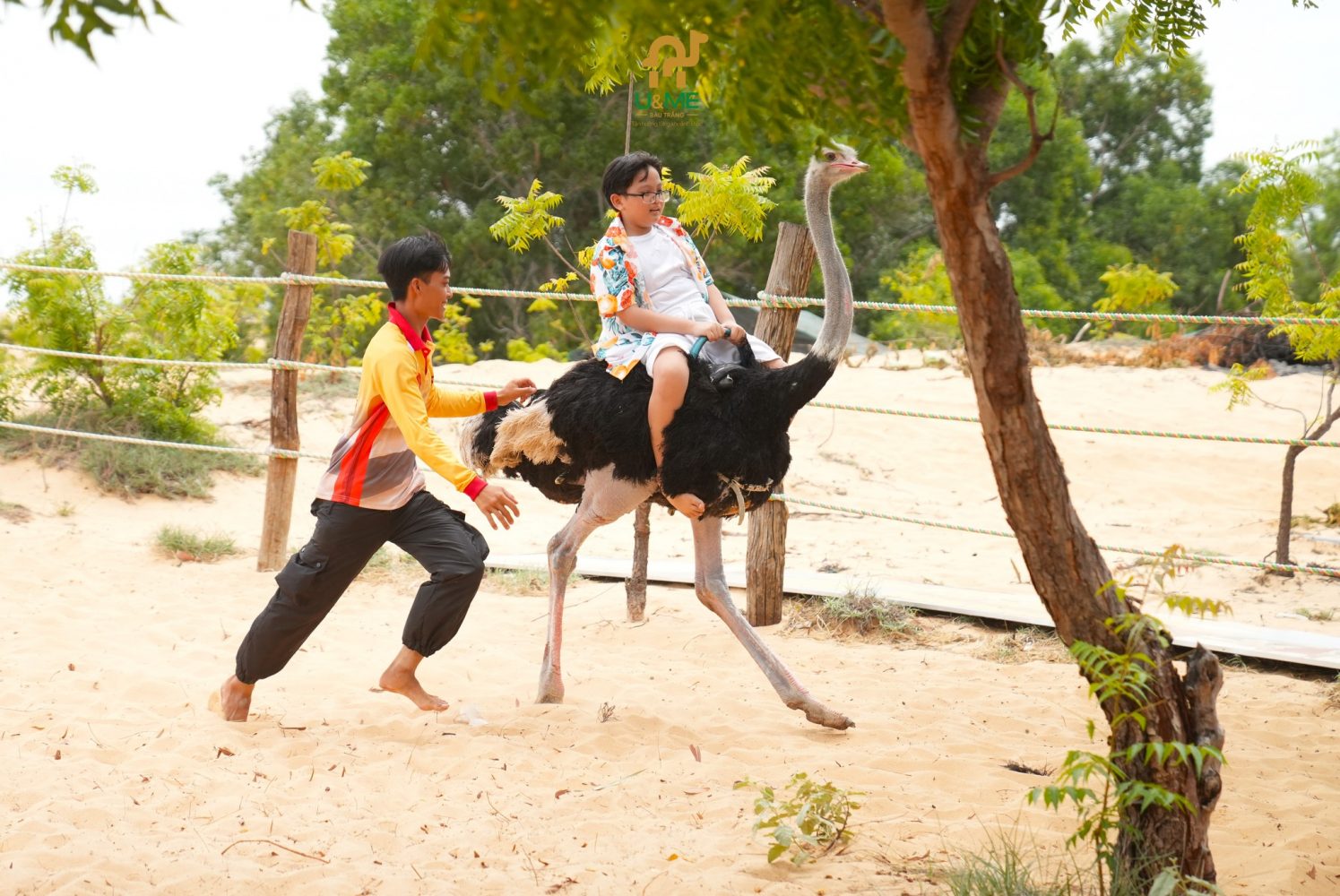 Câu hỏi thường gặp về khu du lịch Bàu Trắng