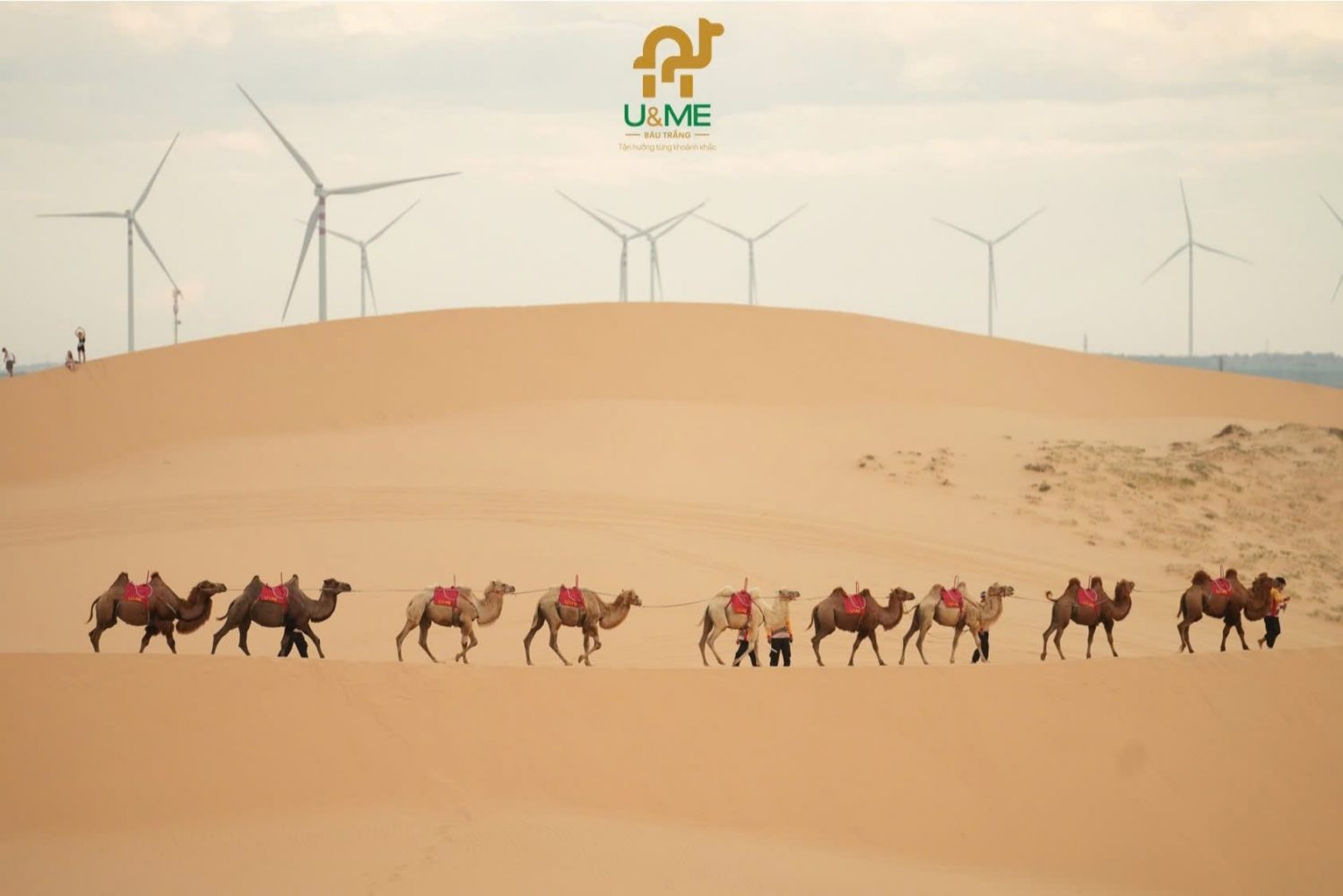 Mẹo nhỏ khi đi khu du lịch Bàu Trắng