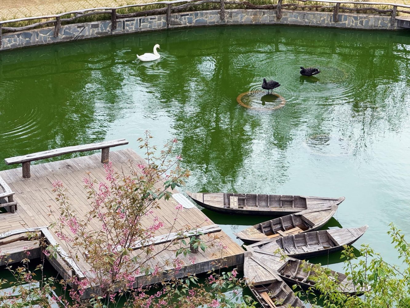 Gợi ý lịch trình tham quan khu du lịch Fresh Garden Dalat