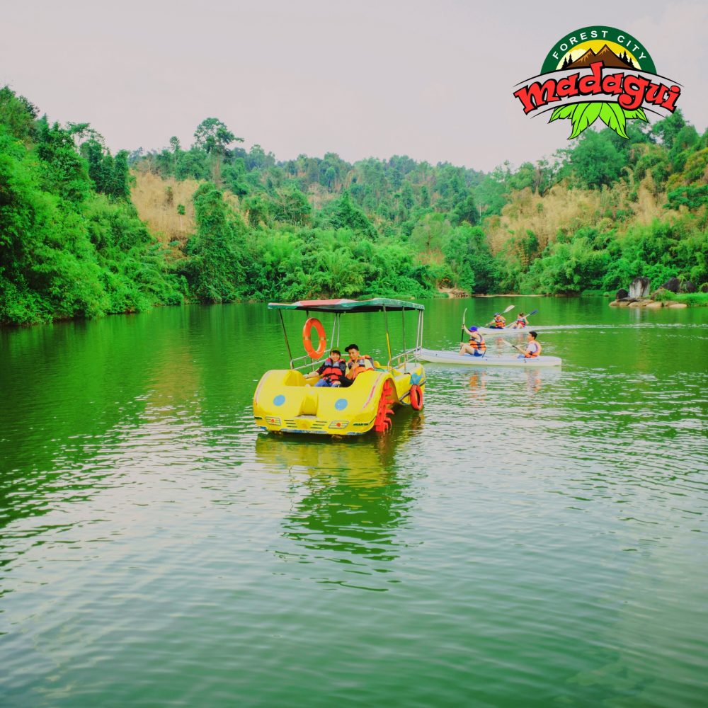 Khám phá thiên nhiên và rừng nguyên sinh