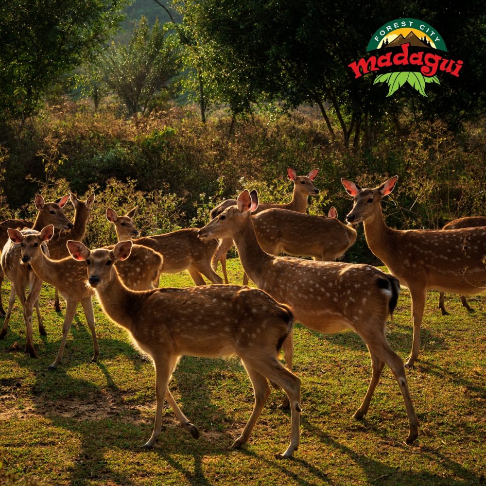 Lưu ý khi đi khu du lịch Madagui