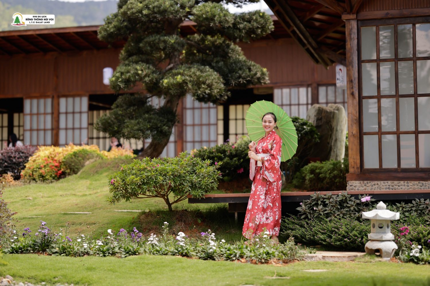 Trải nghiệm văn hóa trà đạo Nhật Bản