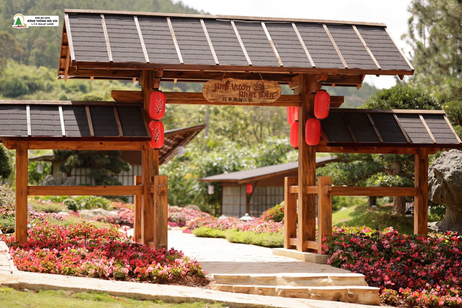 Kinh nghiệm tham quan khu du lịch Rừng Thông Núi Voi