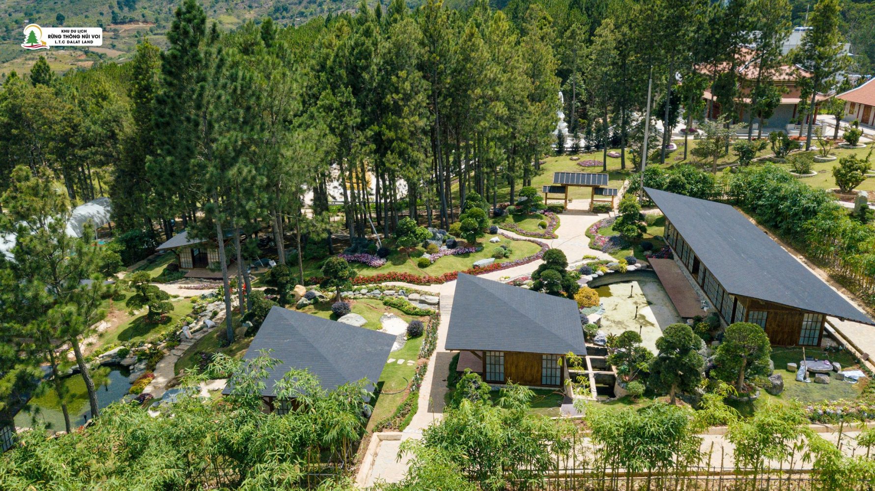 Khu du lịch Rừng Thông Núi Voi có gì hấp dẫn?