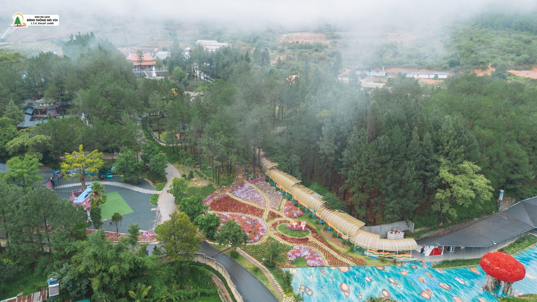 Một ngày lạc giữa Rừng Thông Núi Voi, nơi bình yên chạm tới từng hơi thở