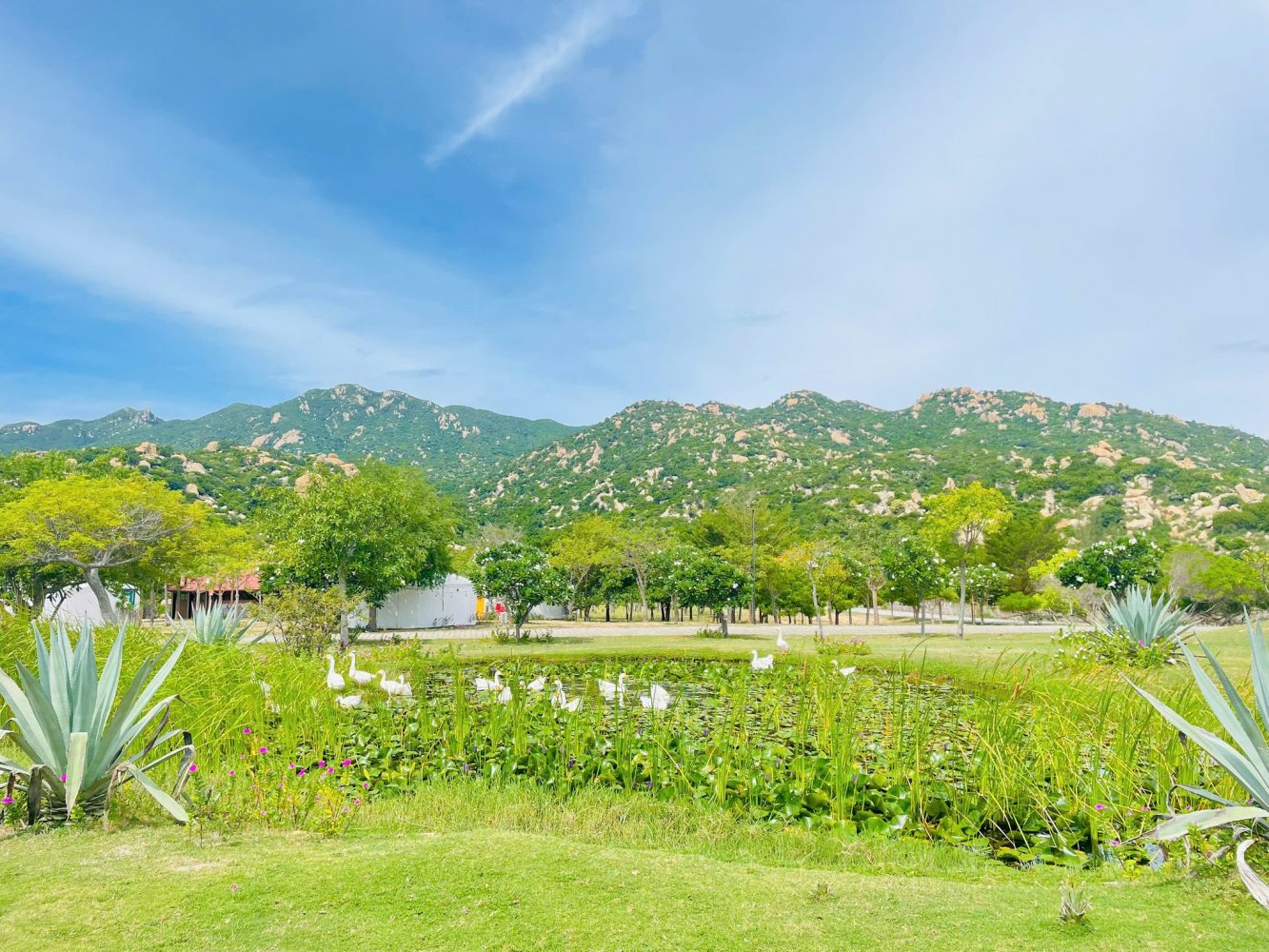 Giá khu du lịch Tanyoli