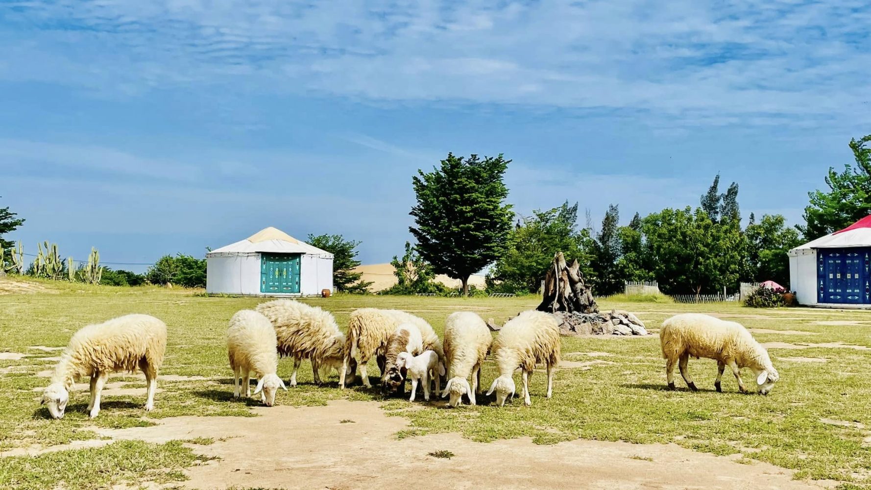 Khu du lịch Tanyoli: Tiểu Mông Cổ giữa lòng Ninh Thuận