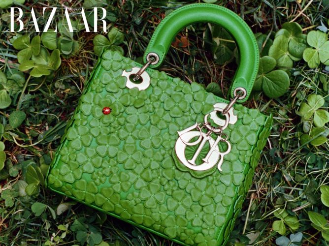 Túi Dior Xuân Hè 2026, ava