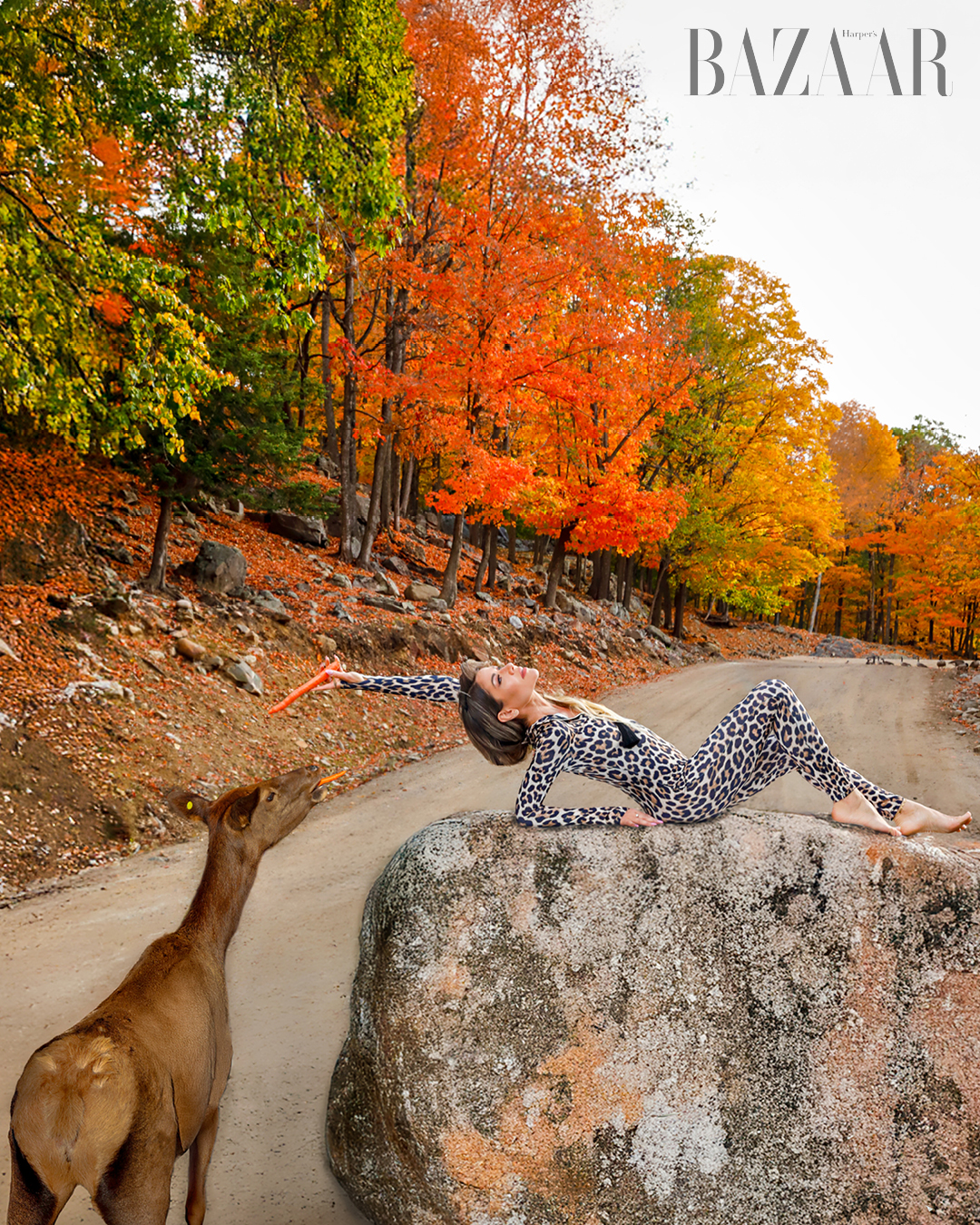 Mùa thu vàng của Cannada đẹp như tranh vẽ.