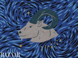 Dự đoán tử vi cung Ma Kết năm 2026